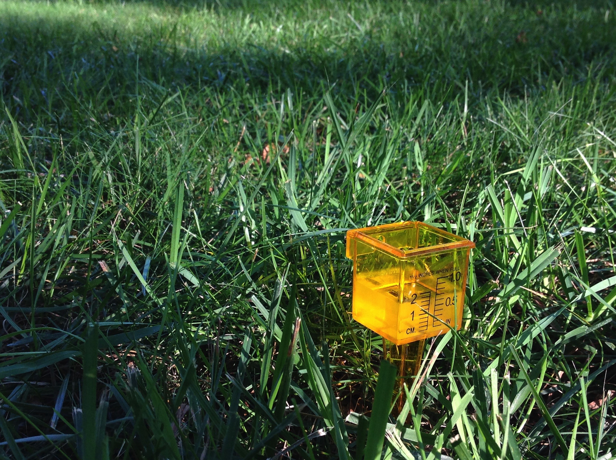 photo of a water collection cup